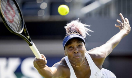 Venus Williams Falls In Wimbledon Warm Up Tournament